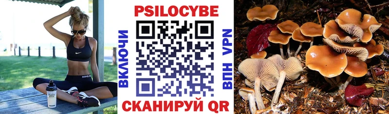что такое наркотик  MEGA как зайти  Псилоцибиновые грибы Psilocybe  Томилино 